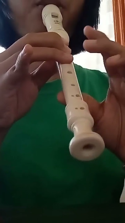 Suwe Ora Jamu - Recorder #suweorajamu #recorder #recordercover