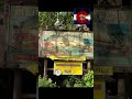 Kilimanjaro Safaris Disney’s Animal Kingdom #Shorts