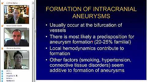 Brain Aneurysm and Subarachnoid Hemorrhage: An Open Forum of Questions and Answers (Preview)