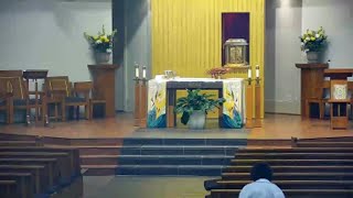 Daily Rosary/Mass/Novena