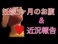 妊娠3ヶ月のご様子