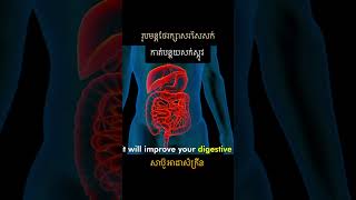 ប្រើធម្មជាតិសរសៃសក់ដុះល្អ #cambodia #trending #haircare #conditioner