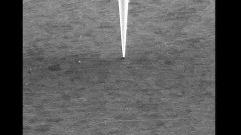 SEM Movie of AFM Probe Approaching a Surface