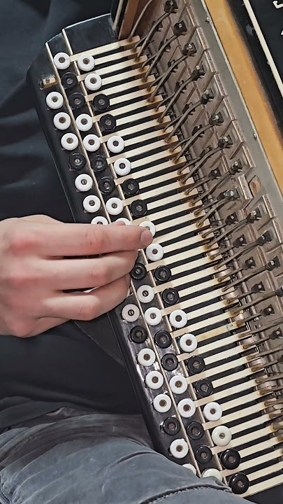 'Hutsulka Ksenia' (Accordion Performance)