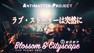 【ラブ・ストーリーは突然に】Antimatter-Project绽放都市2025 Live in Shanghai