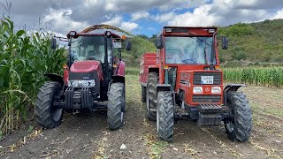 SILAGE SEASON 2022