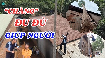 Chuyện lạ "chàng" đu đủ cao kều ở Bình Phước hay giúp người - ĐỘC LẠ BÌNH DƯƠNG