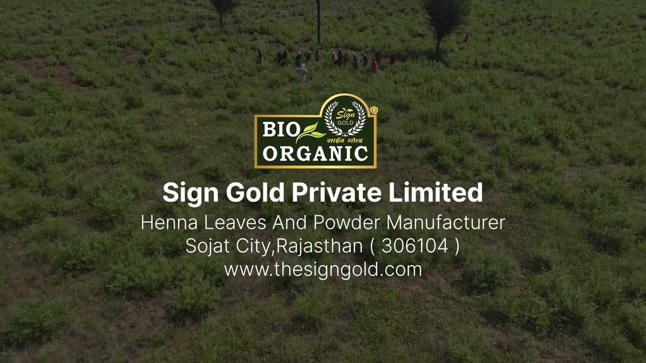 Henna Powder Manufacturer | Sign Gold Private Limited | Rajasthan