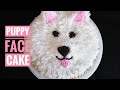 Easy Puppy face cake decoration|Puppy cake|animal face cakes|#m's world diary#