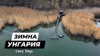 видео: Carp Days - Зимни шарани в Унгария (езеро Szucsi) картинка: Carp Days - Зимни шарани в Унгария (езеро Szucsi)