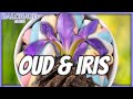 FRAGANCIA DE OUD CON IRIS CUMPLIDOS MARSHMALLOW EL COMODÍN PERFECTO OUD GUIMAUVE DE LA CASA BALCHAUD