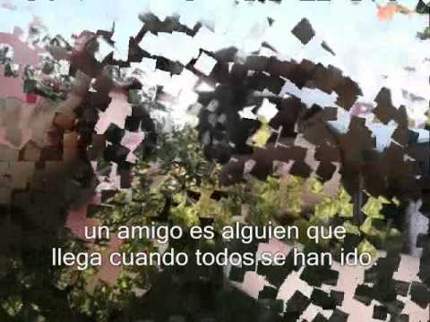 Romika Feat Maya - Cuando las flores nacen