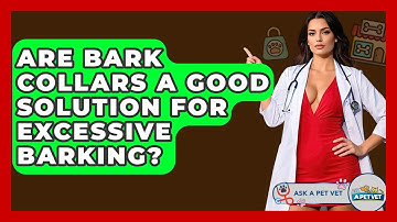 Are Bark Collars A Good Solution For Excessive Barking? - Ask A Pet Vet