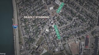 Buffalo woman pleads guilty to stabbing boyfriend to death