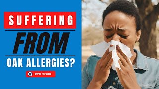 Oak Allergies in Central Texas | Capital ENT