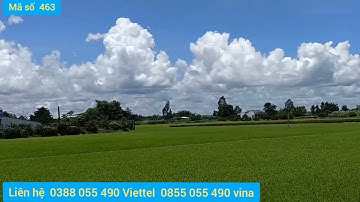 Bán đất giá rẻ đã có Thổ cư giá chỉ  370 triệu ở Gò Công tây tiền Giang mã số  463