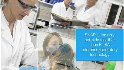 SNAP®—The Sound of a Better Diagnosis