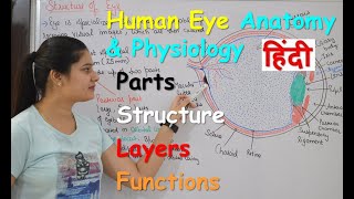 Human Eye Anatomy \u0026 Physiology in Hindi | Structure | Parts | Functions  | Rods \u0026 Cones