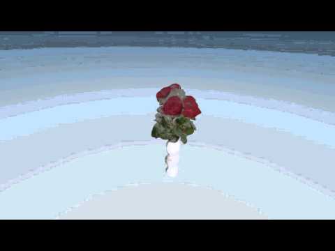 Video: Kako Narediti šopek Vrtnic