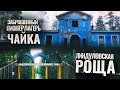 Рощино. Линдуловская Роща. Заброшенный пионерлагерь Чайка. Могила Э. Седергран и Тотти