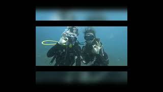 Try scuba diving in Madeira @azuldivingcentermadeira1945