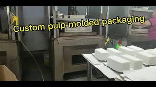 Custom eco friendly paper pulp molded packaging