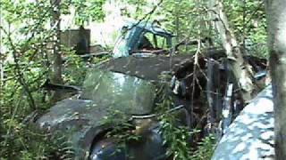 visit to a junkyard- Colmor auto parts