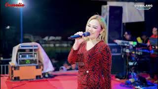 Download lagu CAMELIA MUSIC - TENDA BIRU - EVA AQUILA - PARTY GPS GENERATION - SAMBIYAN KALIORI REMBANG