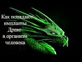 Как попадает имплант Драко в человека. Игорь Мезенцев,Елена Бэкингерм #ИгорьМезенцев #ЕленаБэкингерм