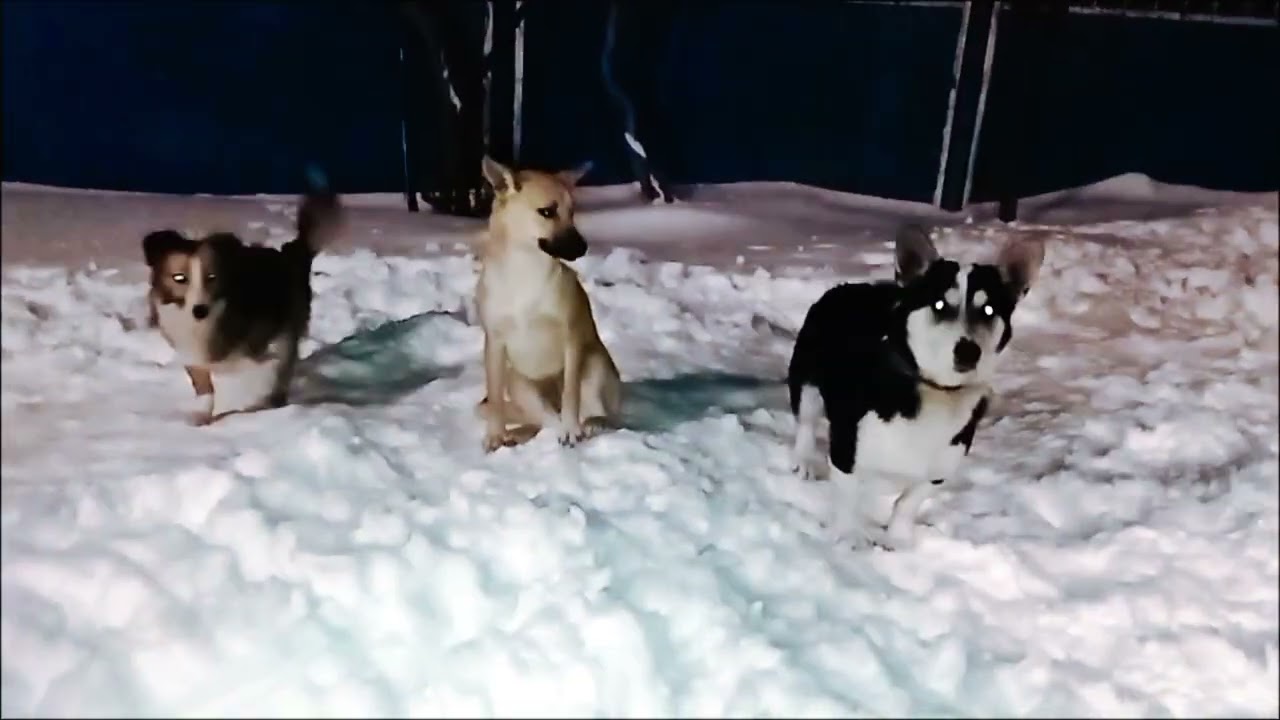 We never get tired of playing in the snow. #snow #play #lovely #childs #mybigfamily 