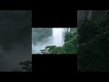 What kind of people would like this kind of atmosphere?
