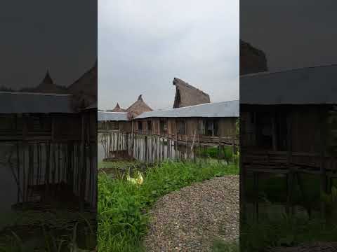 #31 @Nagaland with natural beauty and wild. vlog-31