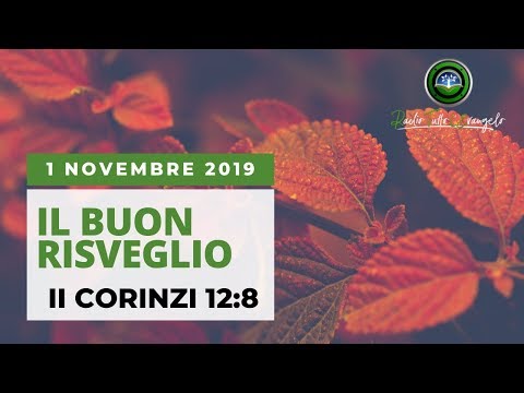 ⏰ #IlBuonRisveglio 🗒 1Novembre.2019 📝 “UN CENTESIMO CONSACRATO A DIO”