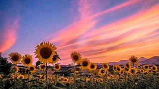 Relax Music , Musica Relajante , Méditation, Yoga ,  Musica Para Dormir Estudiar , screenshot 2