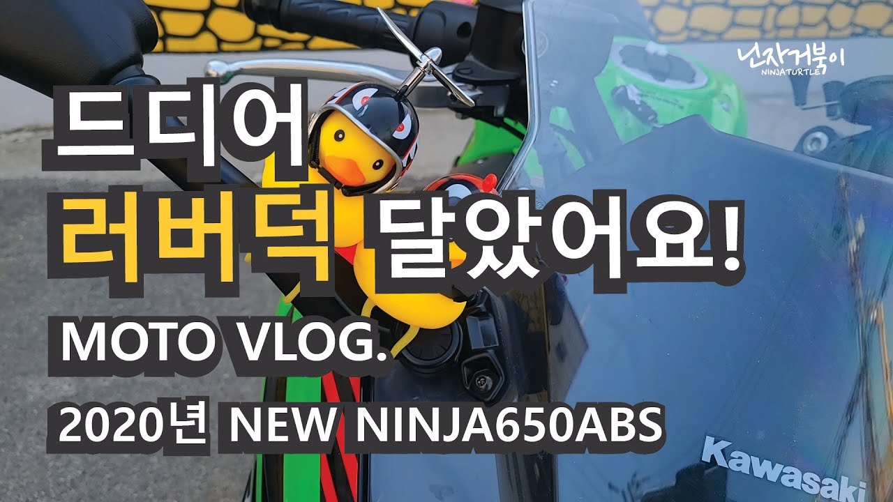 [닌자거북이] 드디어 러버덕 달았어요!!  I 2020 NINJA 650 ABS