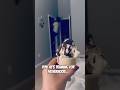 Pregnancy in One Video 😂 Husband Working Out While I Eat Ice Cream #RelatablePregnancy