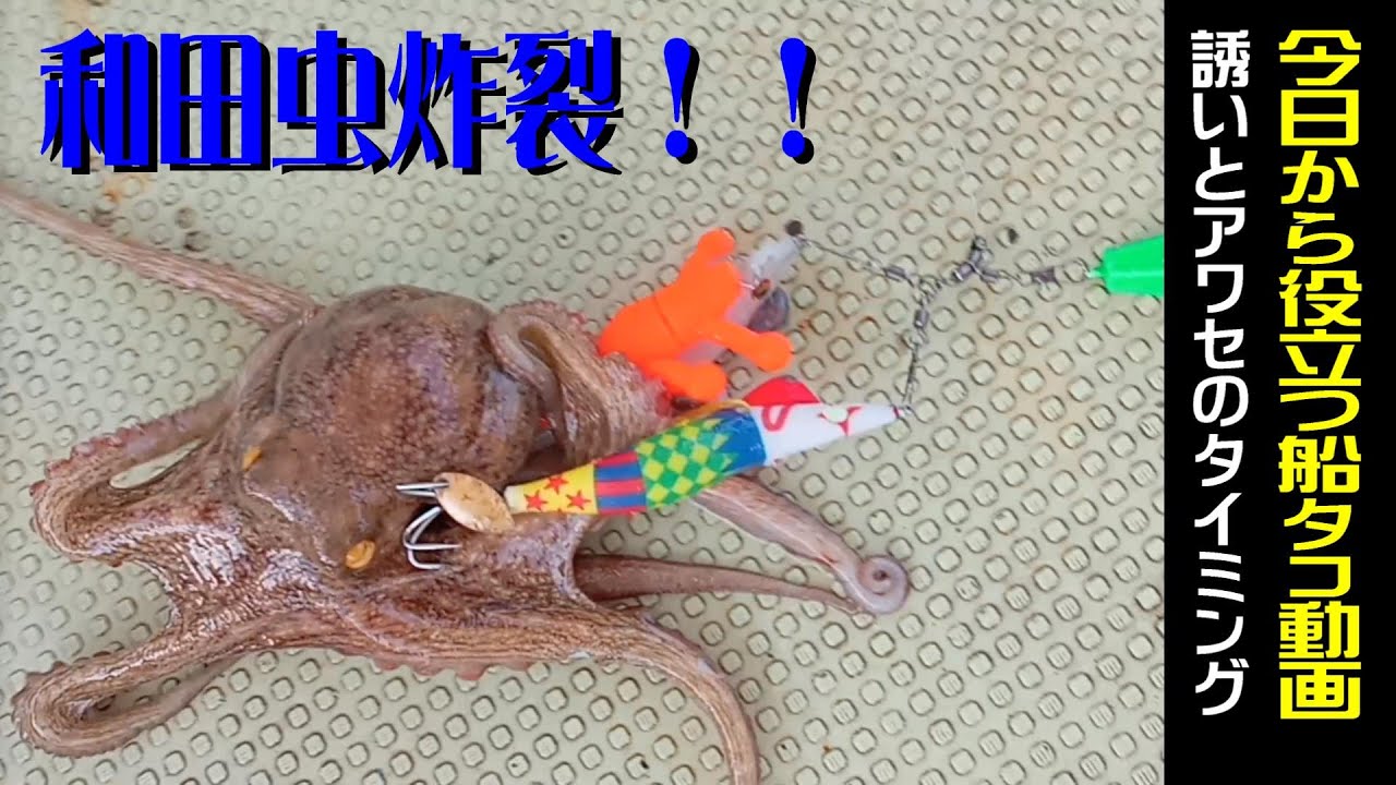 船タコ】今日から役立つ実釣動画！誘い&アワセのタイミング - YouTube