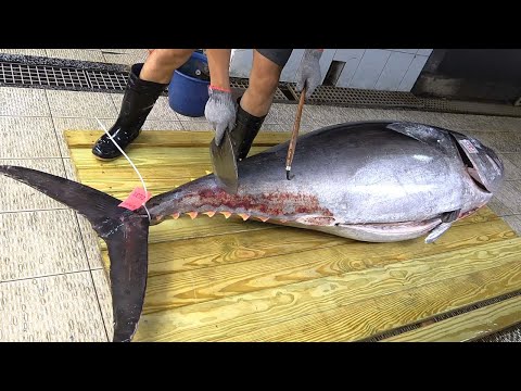 Cutting a Whole Big Bluefin Tuna/Tuna Sashimi