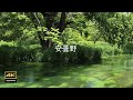 4K【安曇野】5月 美しき安曇野 水景色