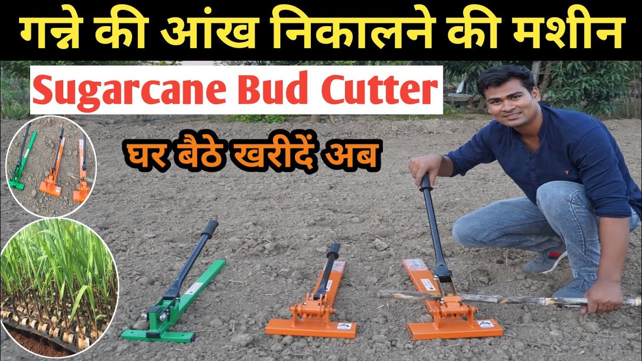Sugarcane Bud Cutter Machine |गन्ने की आंख निकालने की मशीन घर बैठे ...