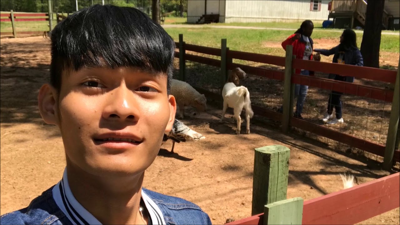 Fortson 4 H Center