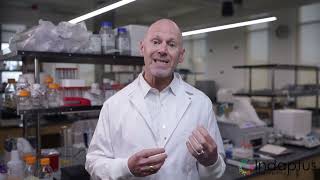 What is the “Pulse Prime” approach?