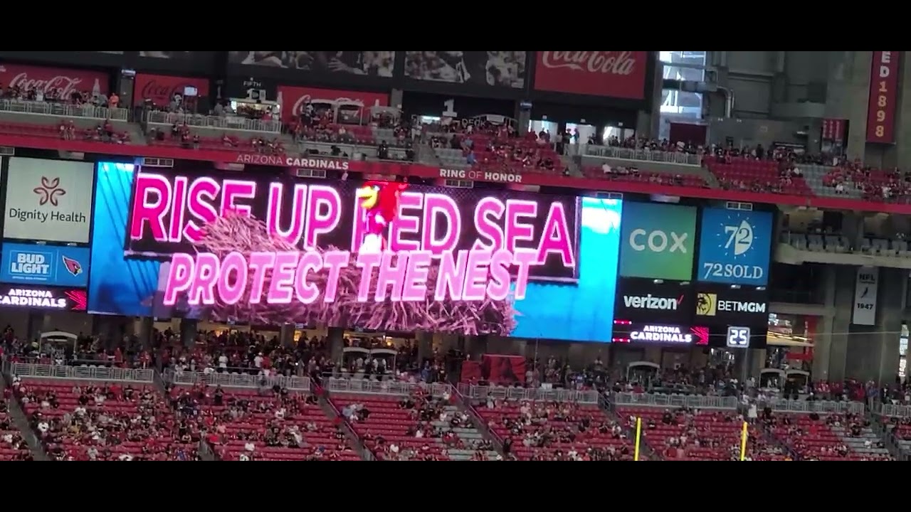 rise up red sea | the new jumbo screen at state farm stadium | state ...