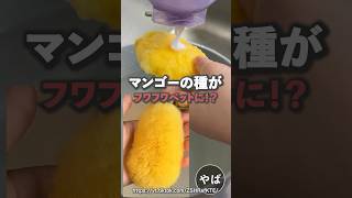【検証】マンゴーの種がフワフワペットに⁉︎