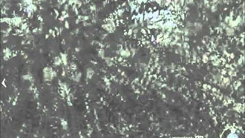 MW2 Spec Ops Glitch on Hidden