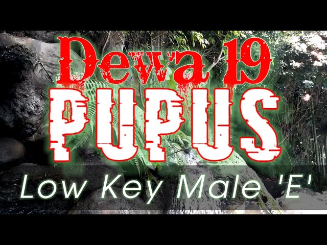 Pupus - Dewa 19 (Low key Male) class=