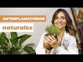 Cómo quitar el dolor con ANTIINFLAMATORIOS NATURALES