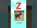 Z for Zebra 🦓 | ABC Learning for Kids #Shorts