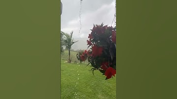 (اللَّهُ الَّذِي رَفَعَ السَّمَاوَاتِ بِغَيْرِ عَمَدٍ تَرَوْنَهَا) القارئ : هزاع البلوشي