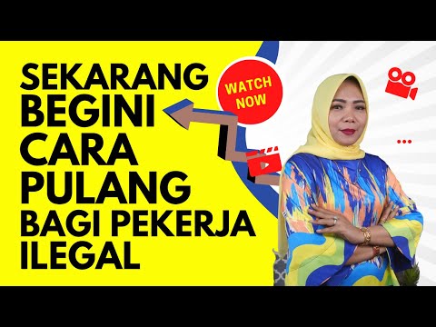 Video: Pre-semai membaja: sistem, teknologi, prosedur, matlamat